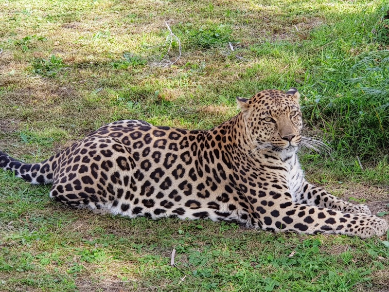 5 passeios pela Africa do Sul
