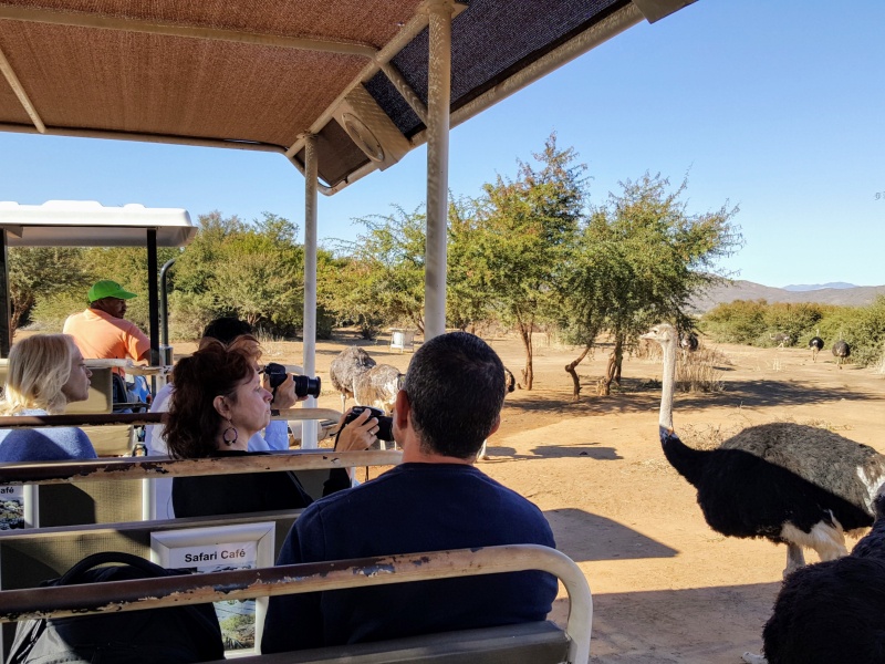 5 passeios pela Africa do Sul