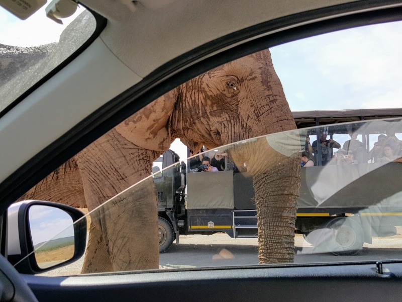 South Africa