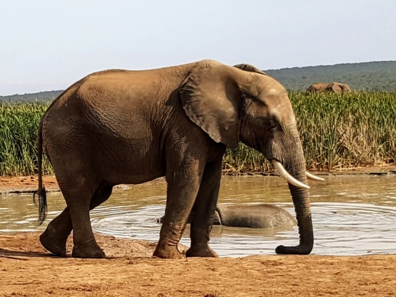 South Africa