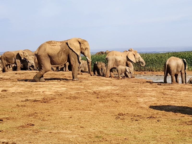 South Africa