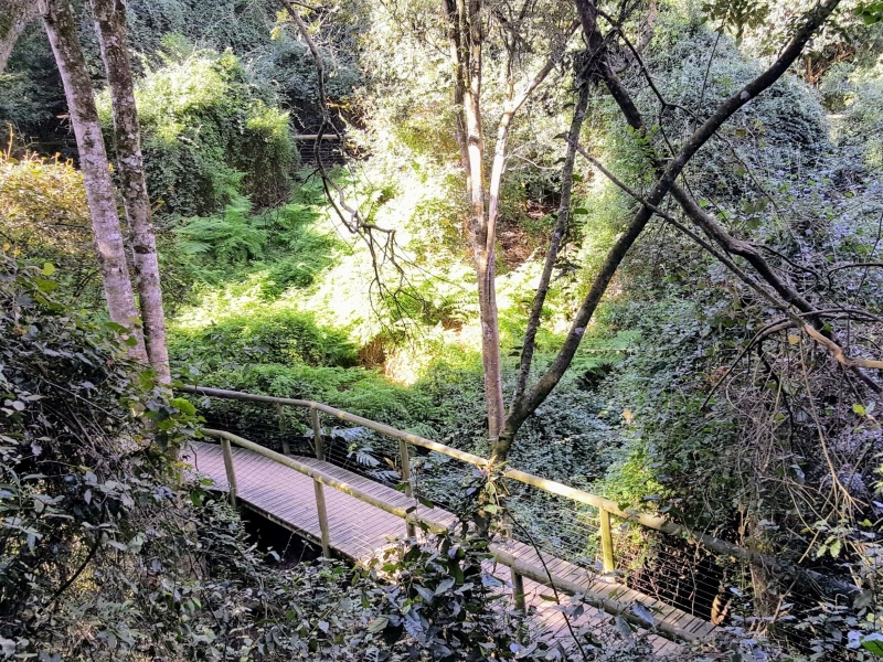 South Africa
