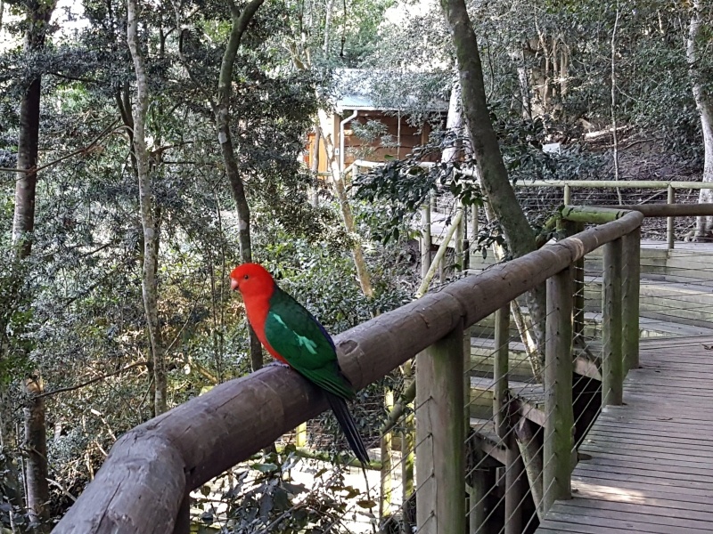 South Africa