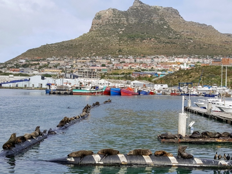 South Africa