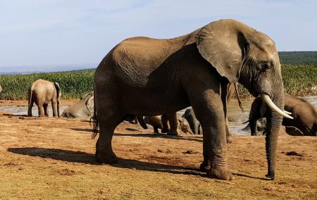 South Africa