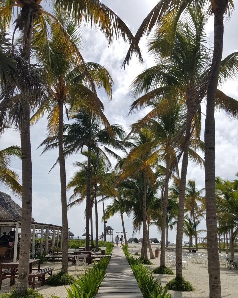 Cayo Guillermo - Cuba
