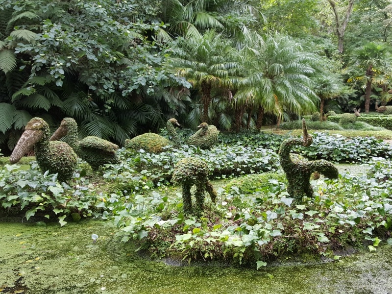 Açores- Portugal