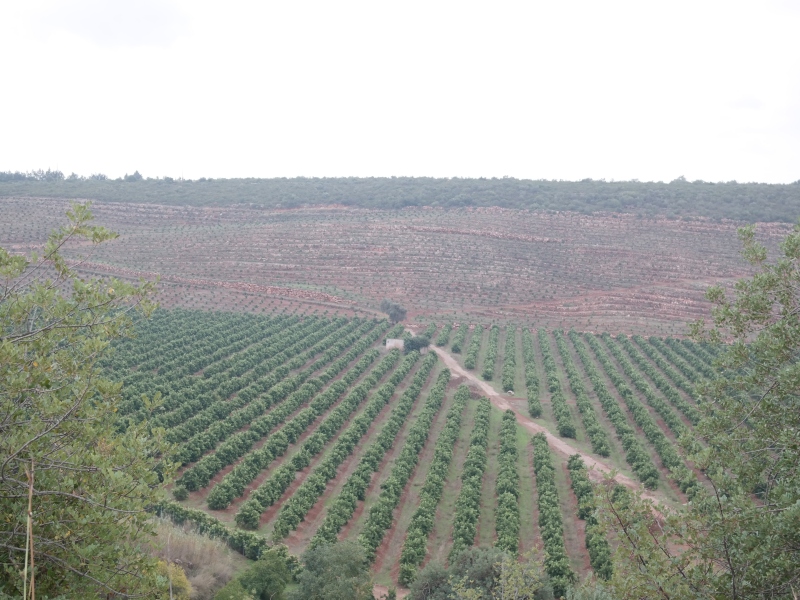 Algarve Rural