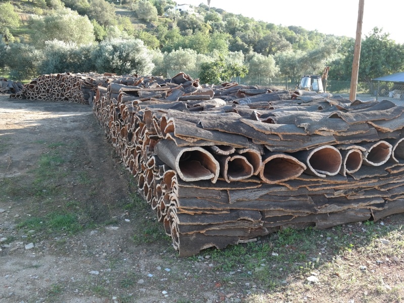 Algarve Rural