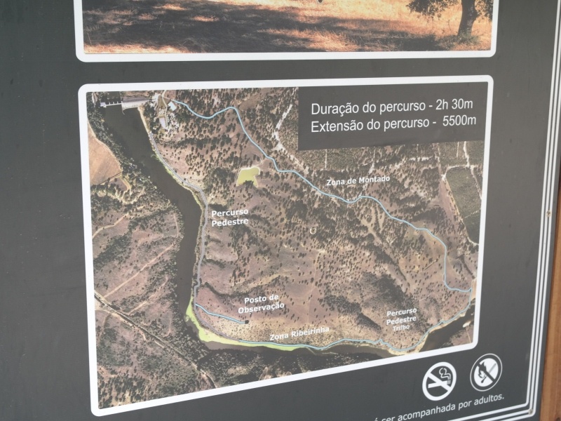 Mora (Alentejo)- Portugal