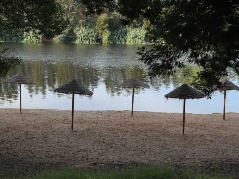 Mora (Alentejo)- Portugal