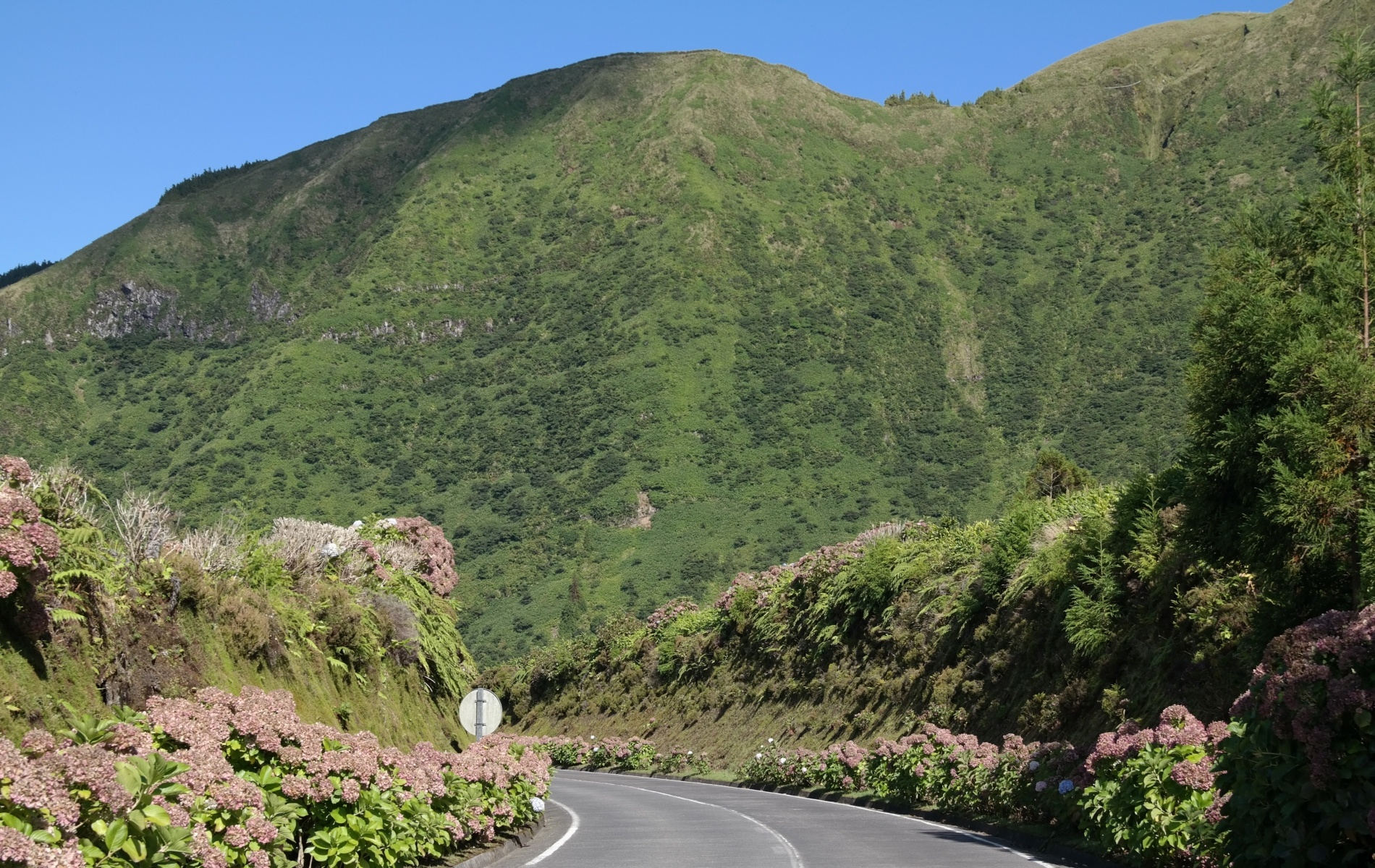 Aluguer automóvel nos Açores- Portugal