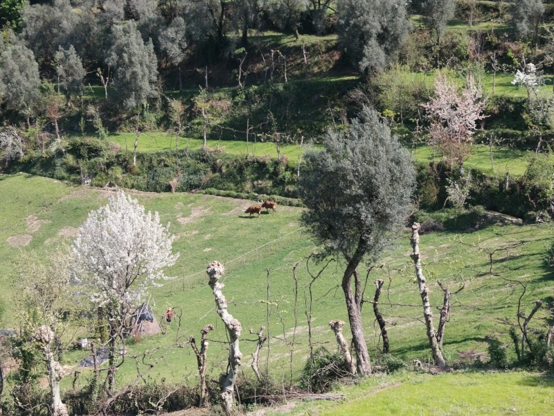 Portugal