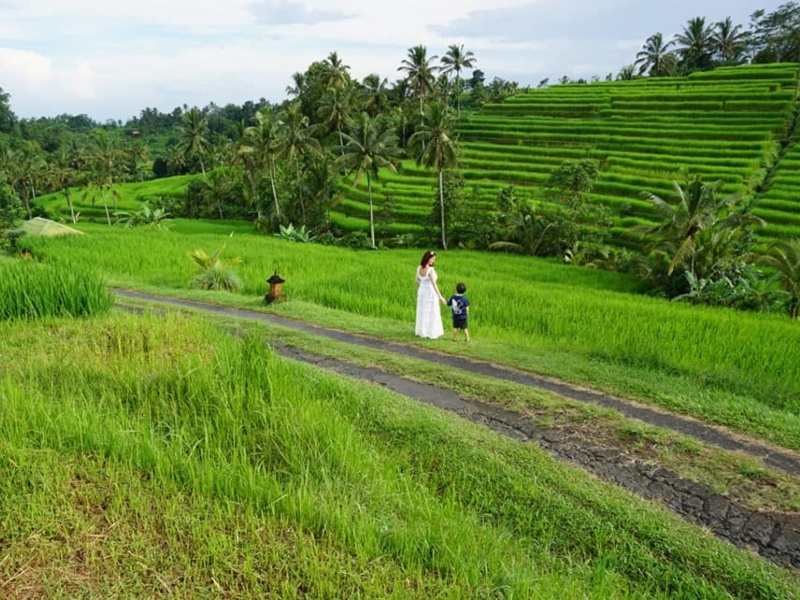 Best of Indonesia