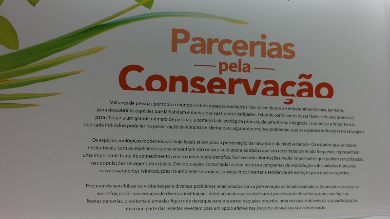 Melhor do Algarve para férias em família