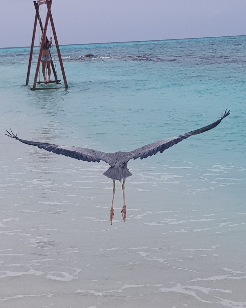Maldives