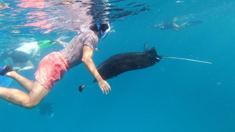 Maldives