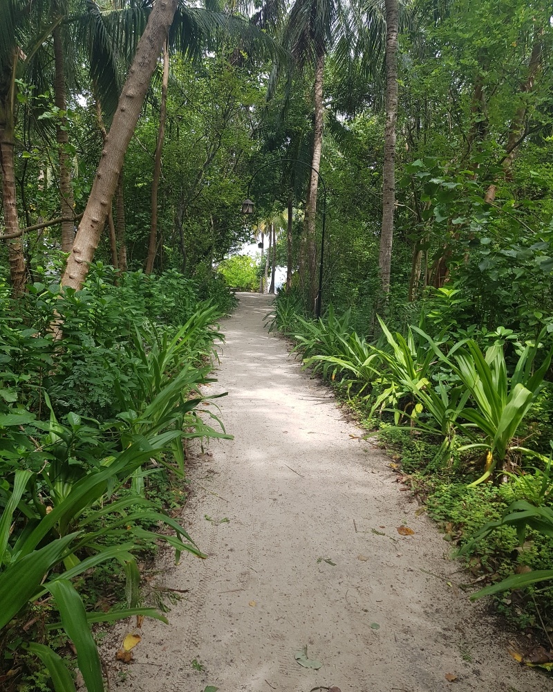 Maldives