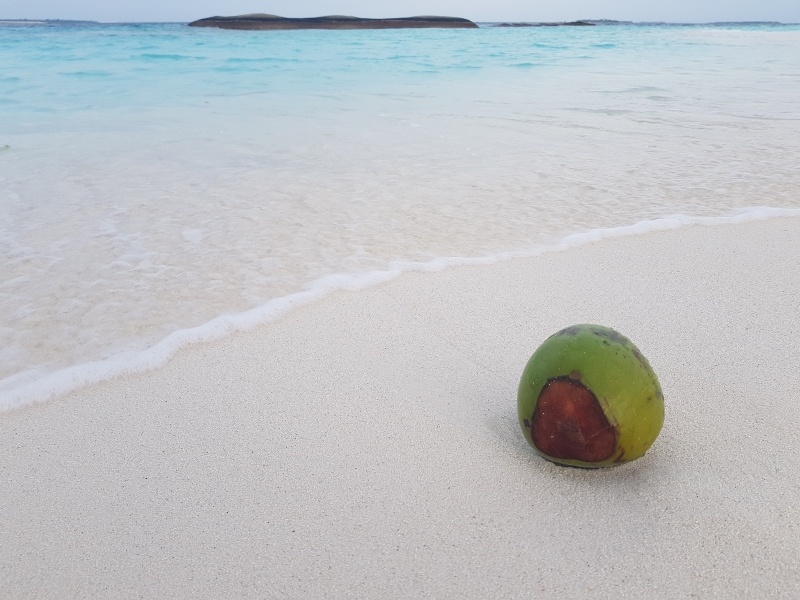 Maldives