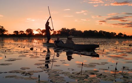 Destinos - Safari- Africa Austral