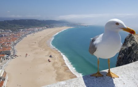 Sitio da Nazaré- Portugal