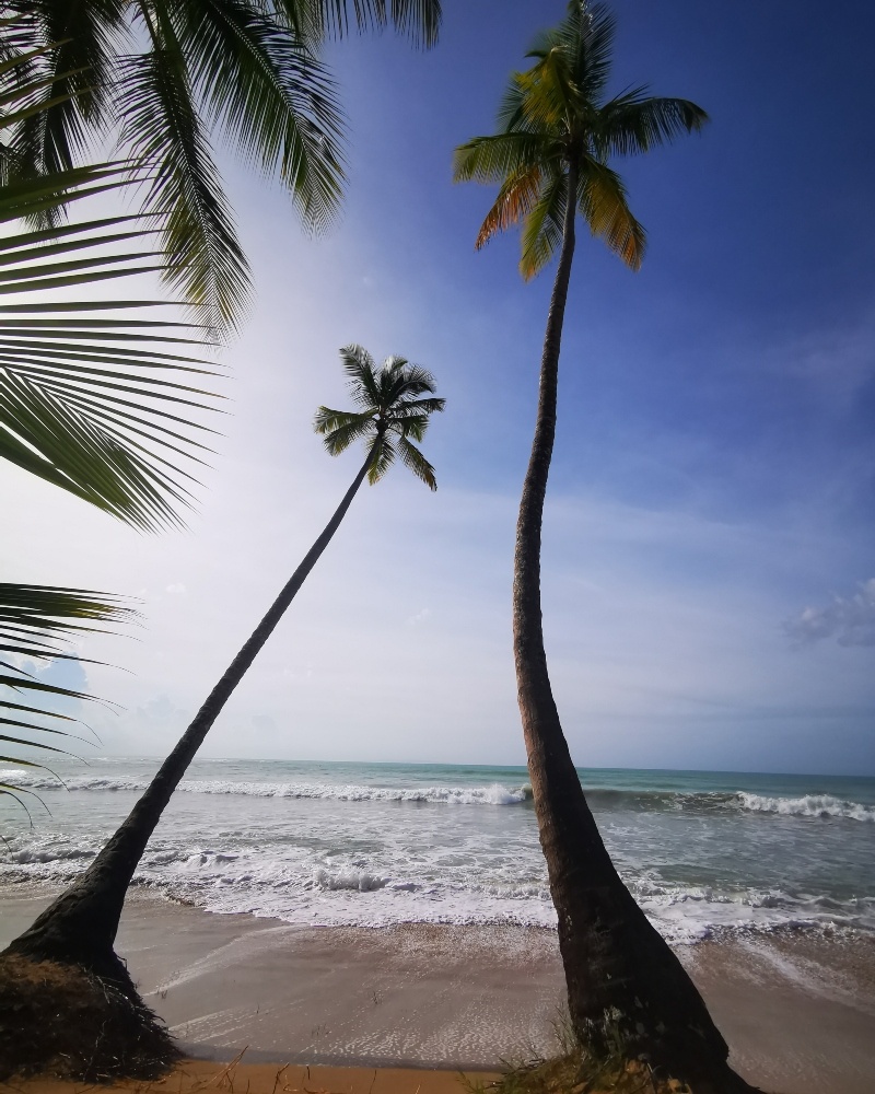 Samaná - República Dominicana