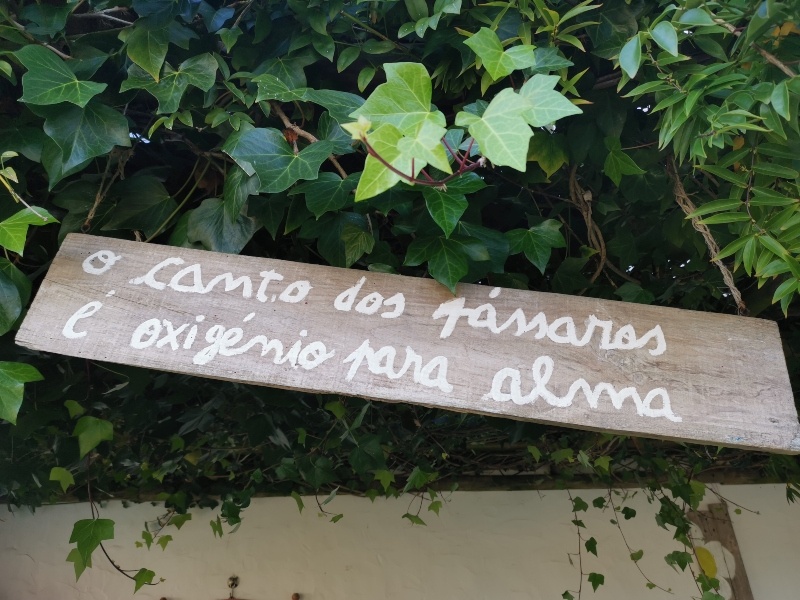 Sudoeste Alentejano- Portugal