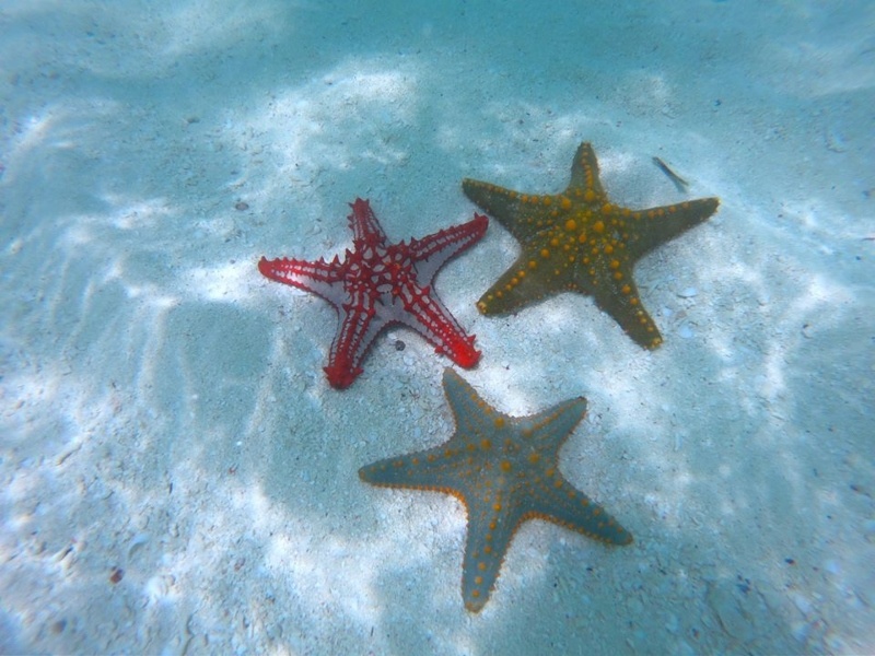 Zanzibar