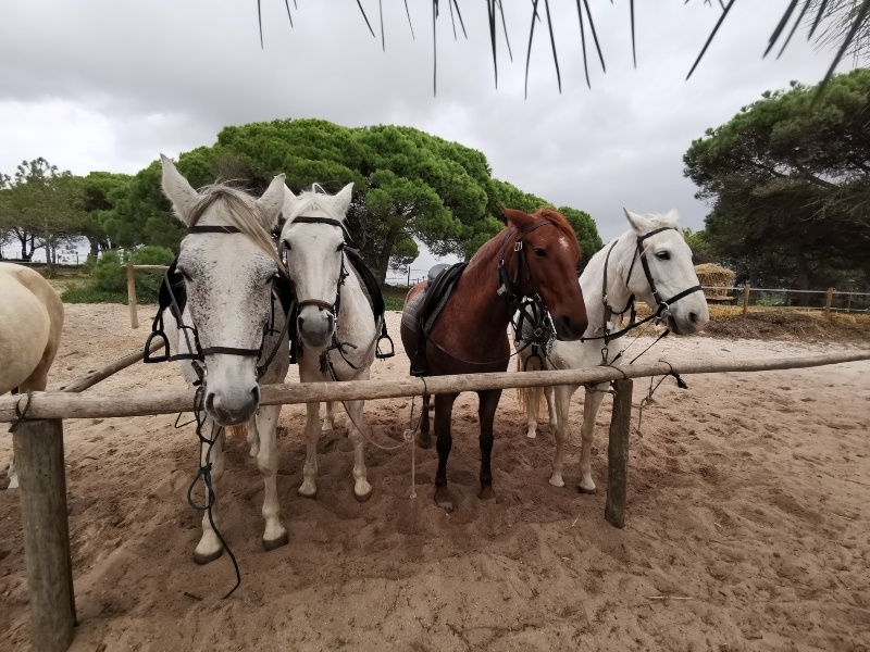 Sudoeste Alentejano- Portugal