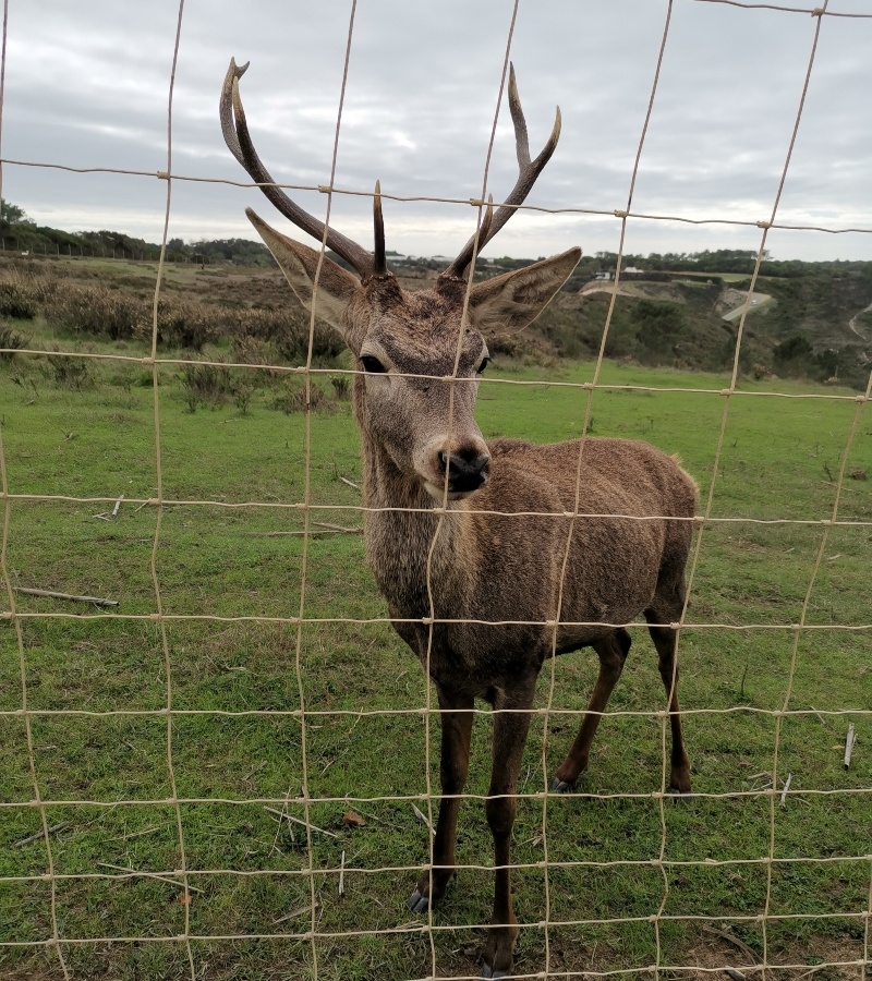 Sudoeste Alentejano- Portugal