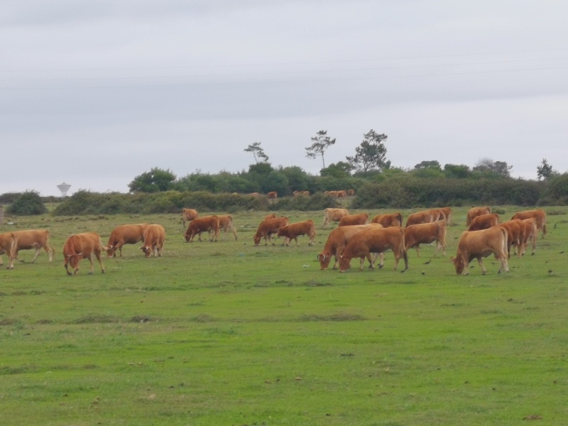 Sudoeste Alentejano- Portugal
