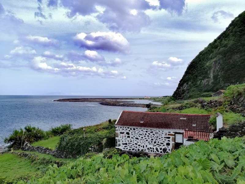 Ilha de São Jorge- Açores- Portugal