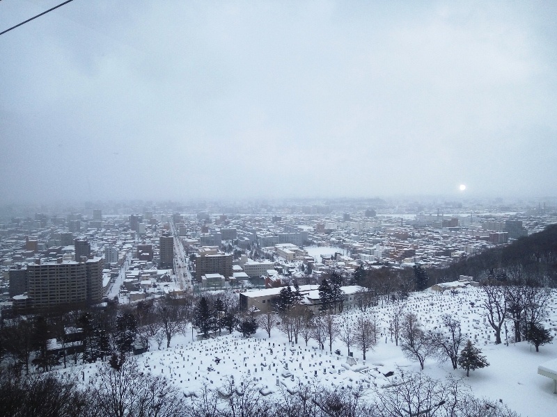 Susukino ice world