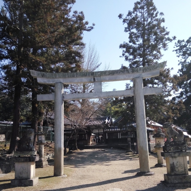 Nara, Osaka e Quioto- Japão