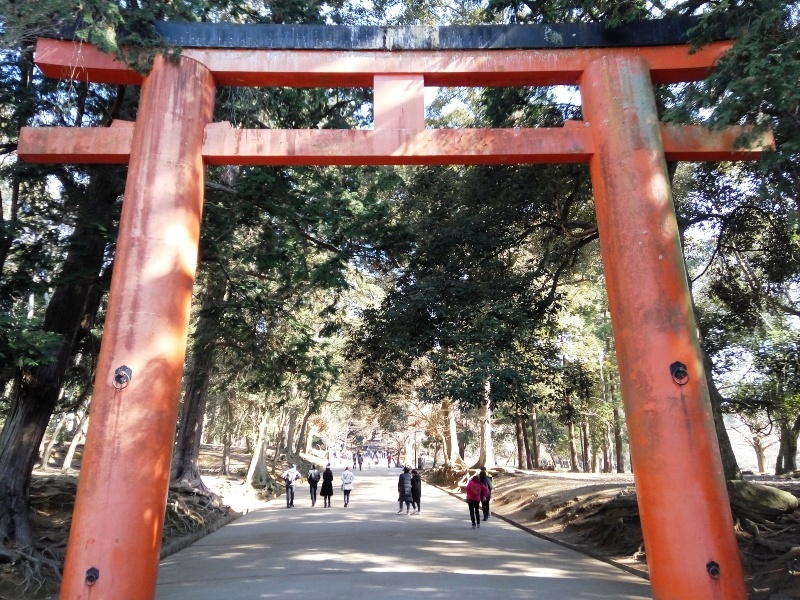 Nara, Osaka e Quioto- Japão