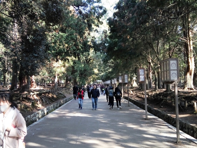 Nara, Osaka e Quioto- Japão