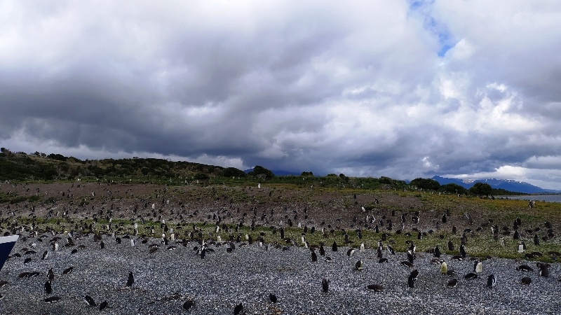 - Ushuaia