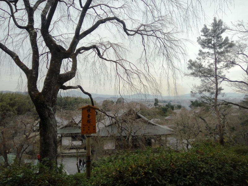 Nara, Osaka e Quioto- Japão