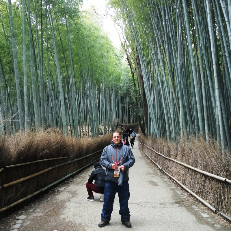 Nara, Osaka e Quioto- Japão