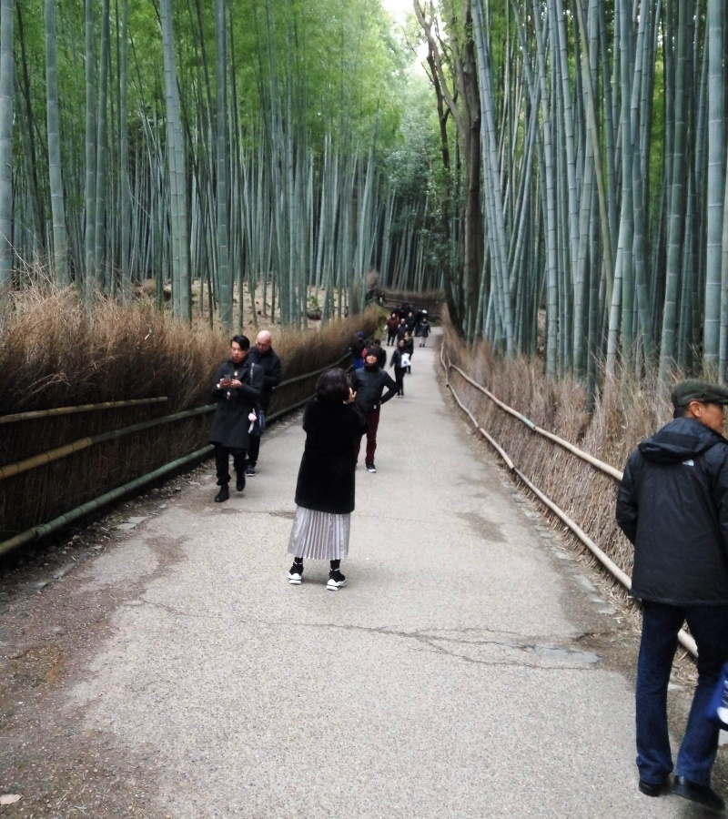 Nara, Osaka e Quioto- Japão