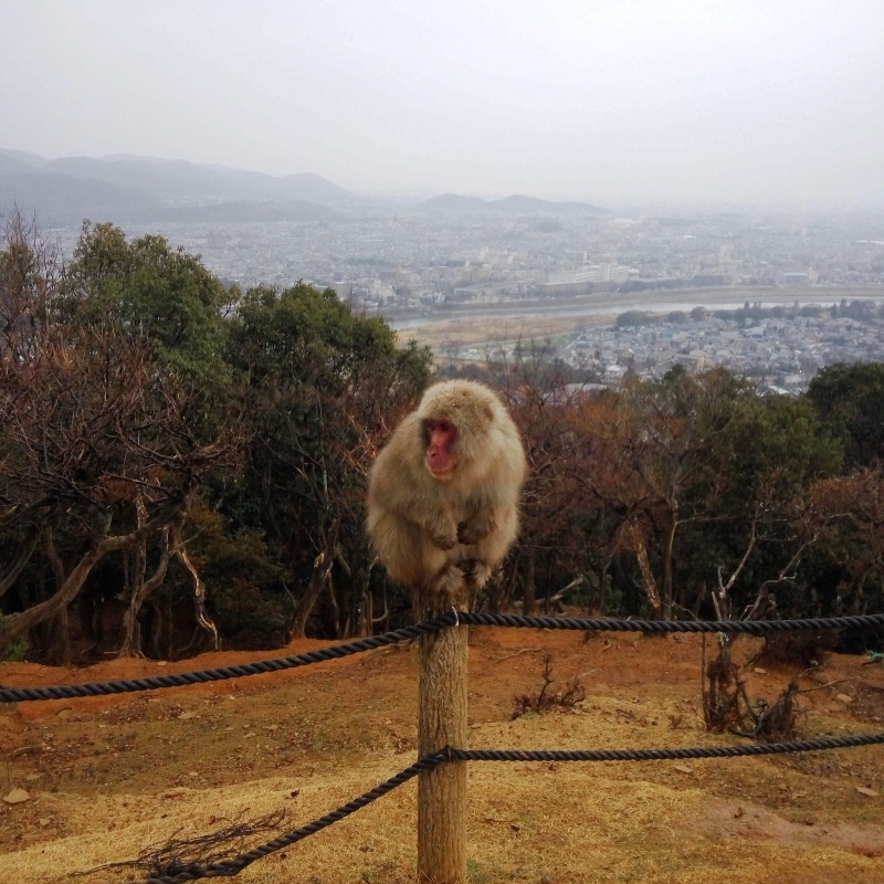 Nara, Osaka e Quioto- Japão