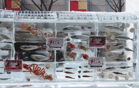 Susukino ice world