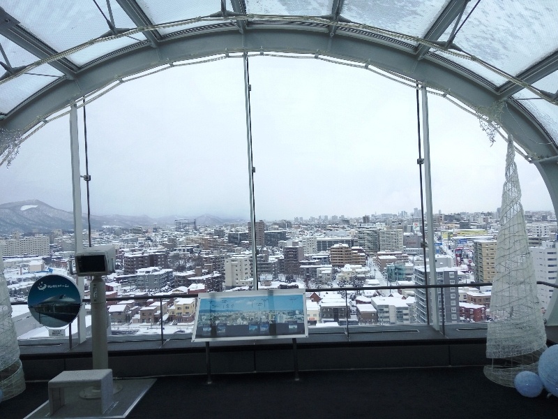 Susukino ice world