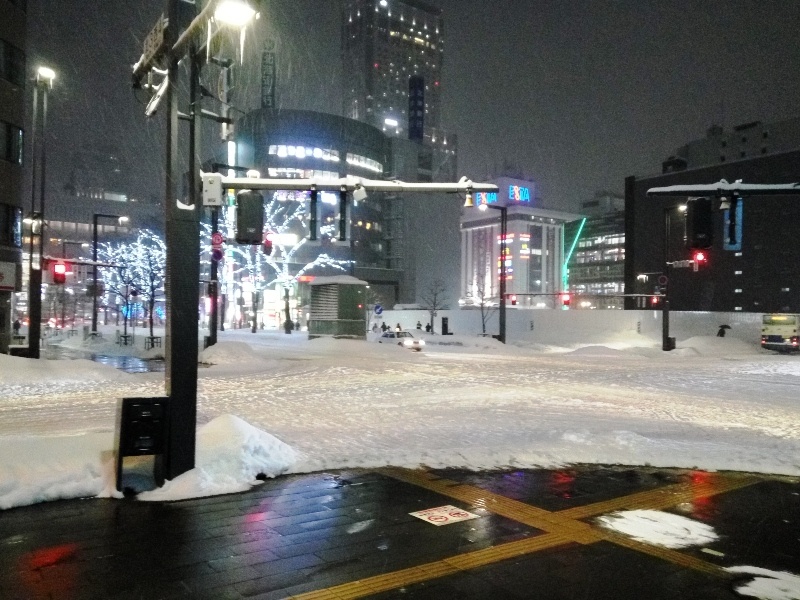 Susukino ice world